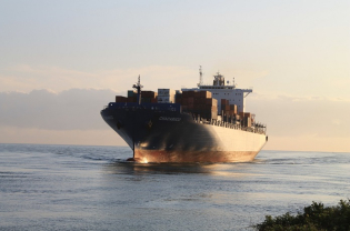 Protectionism: Solution or Problem? (II)